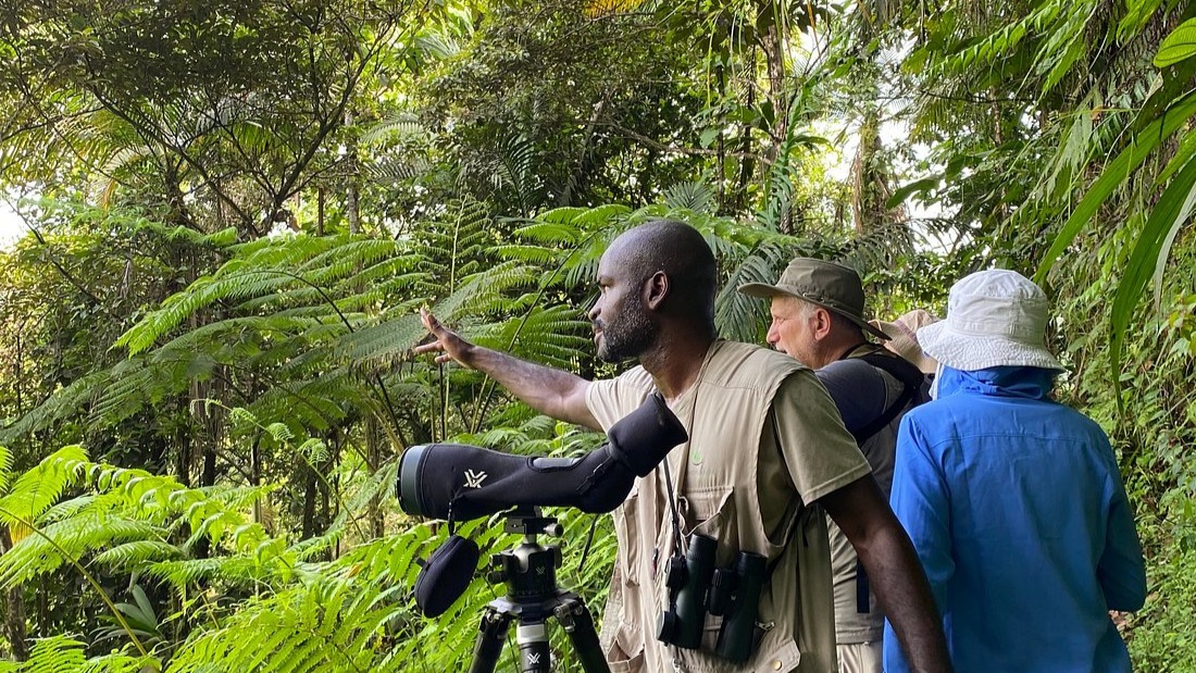 Hardcore Birding