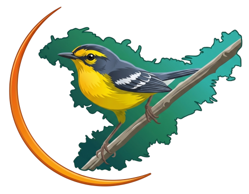 St. Lucia Birding and Wildlife Ambassadors logo