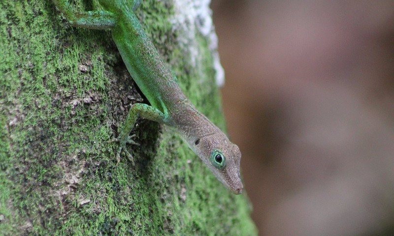 Wildlife and nature experience