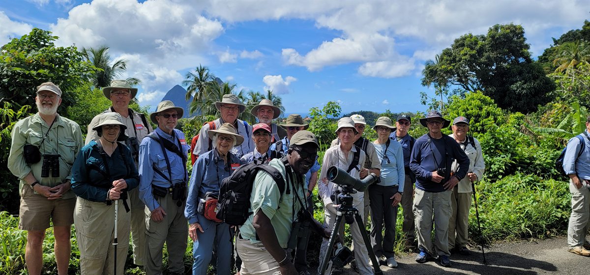 Birding group in Saint Lucia habitat