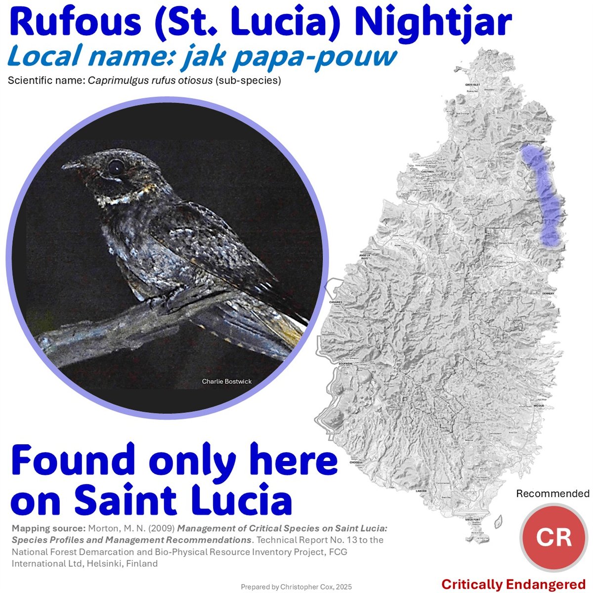 Reference poster for the St. Lucia Nightjar showing a nightjar, broad range map and conservation note