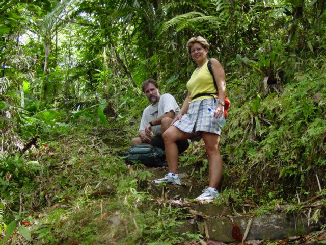Guided rainforest trail habitat